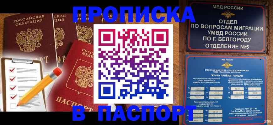 прописка 2025 в Брянске